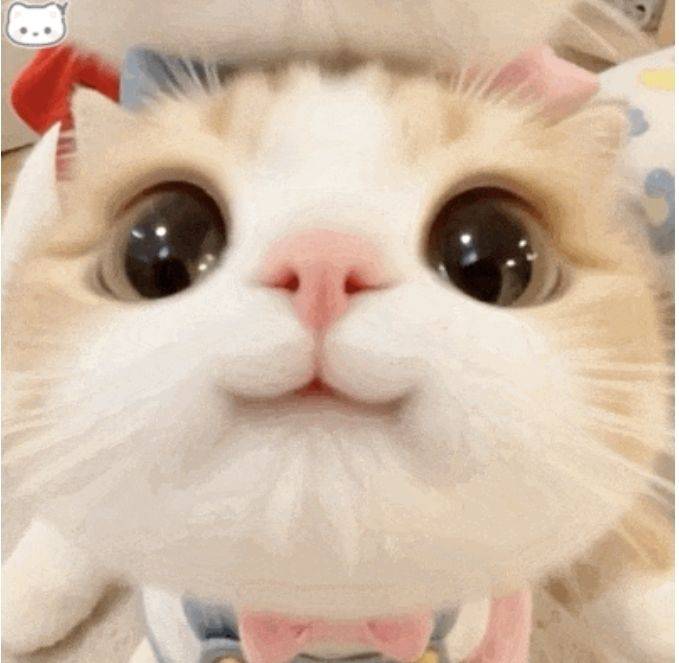 叶子