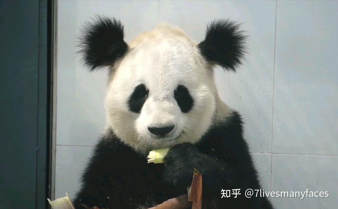 美丽心情