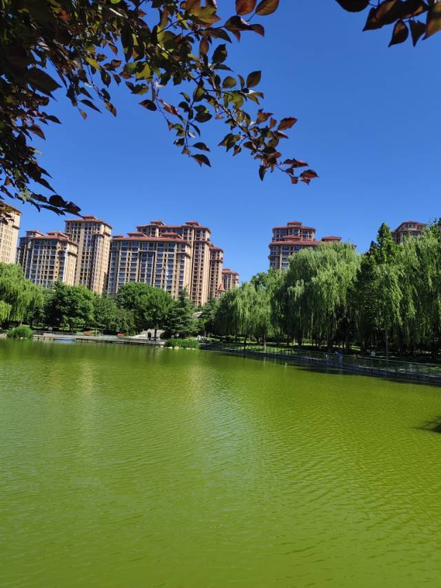 大飞哥数学好