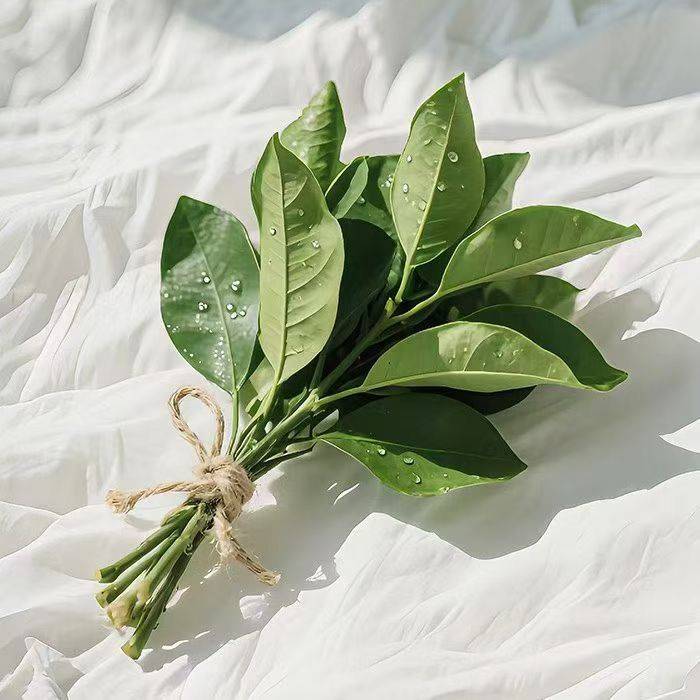 清宁🍃