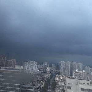 金女士