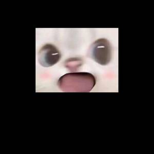 转租