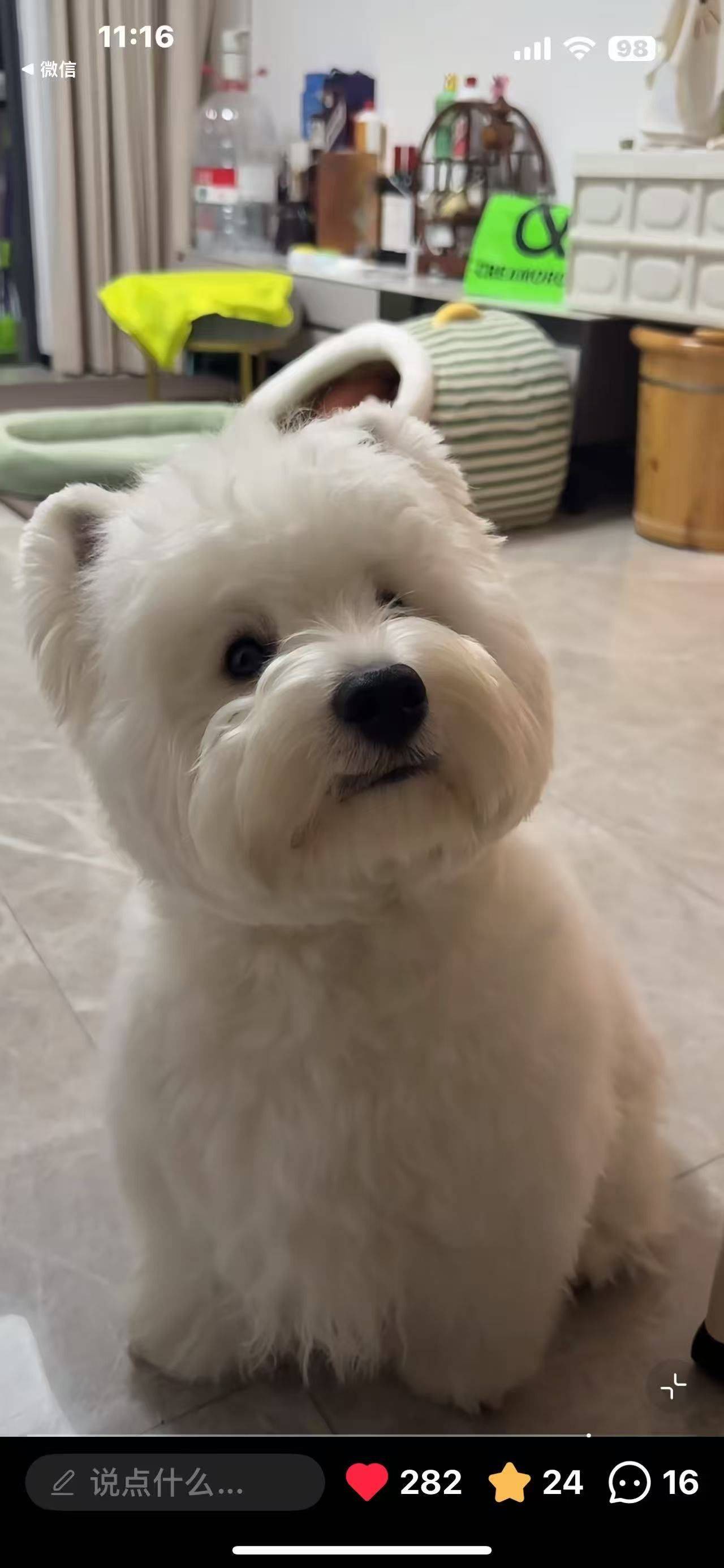 旺仔