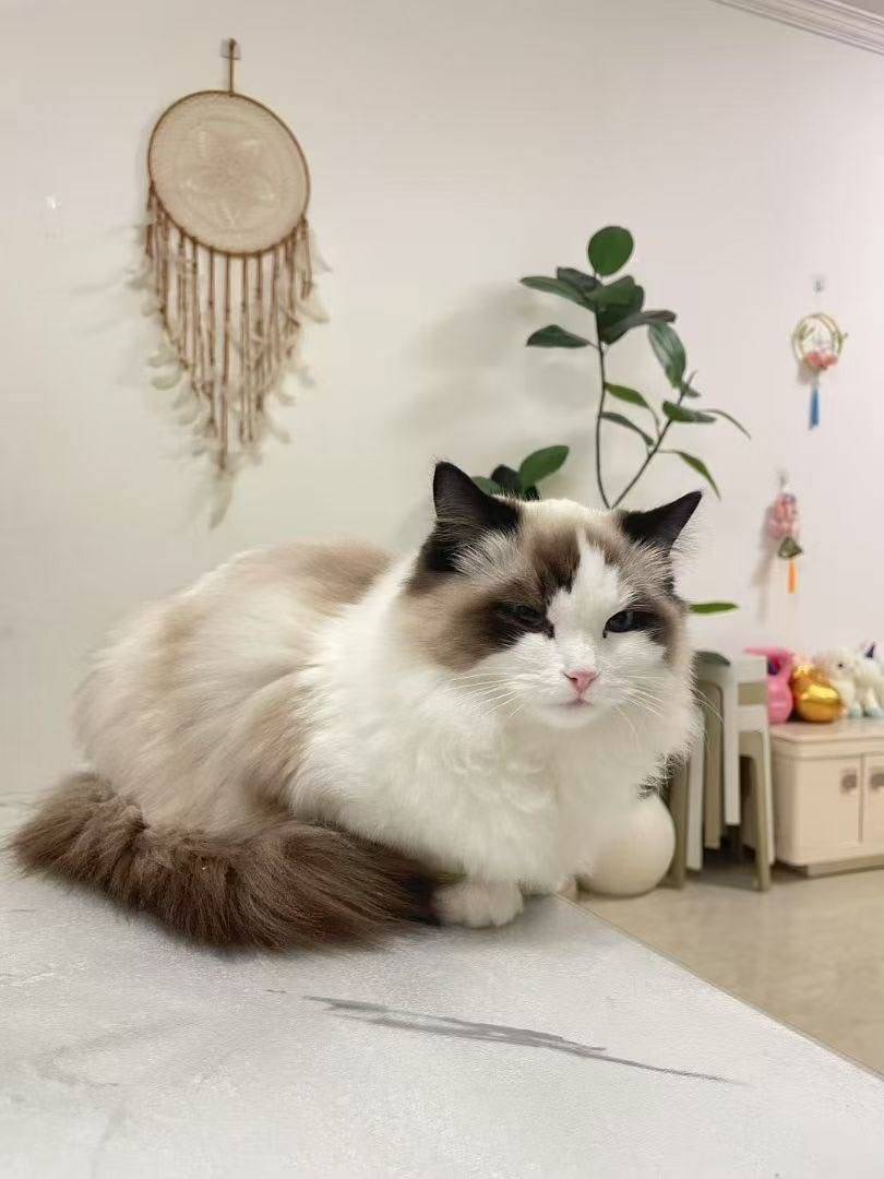 过客