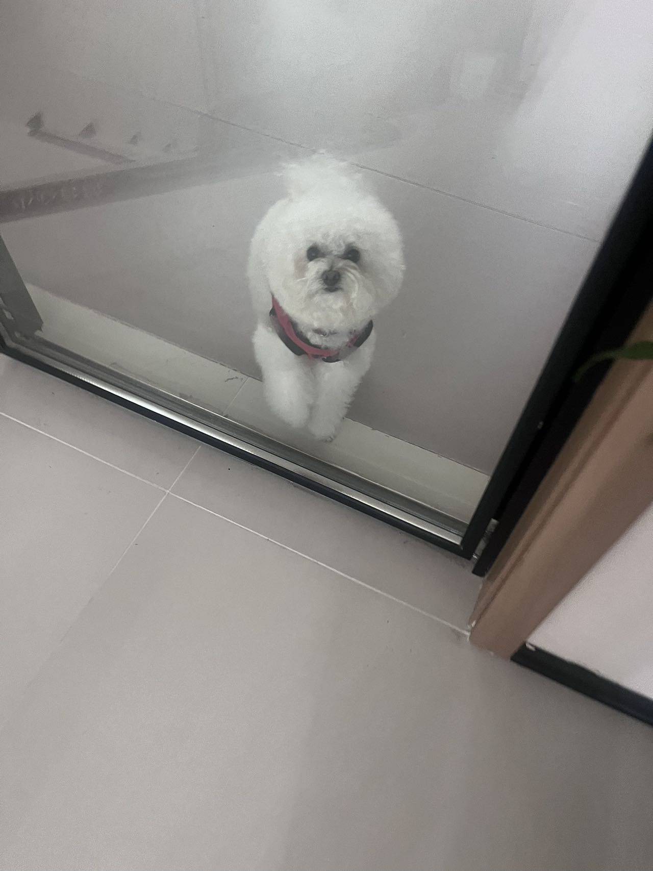 一一