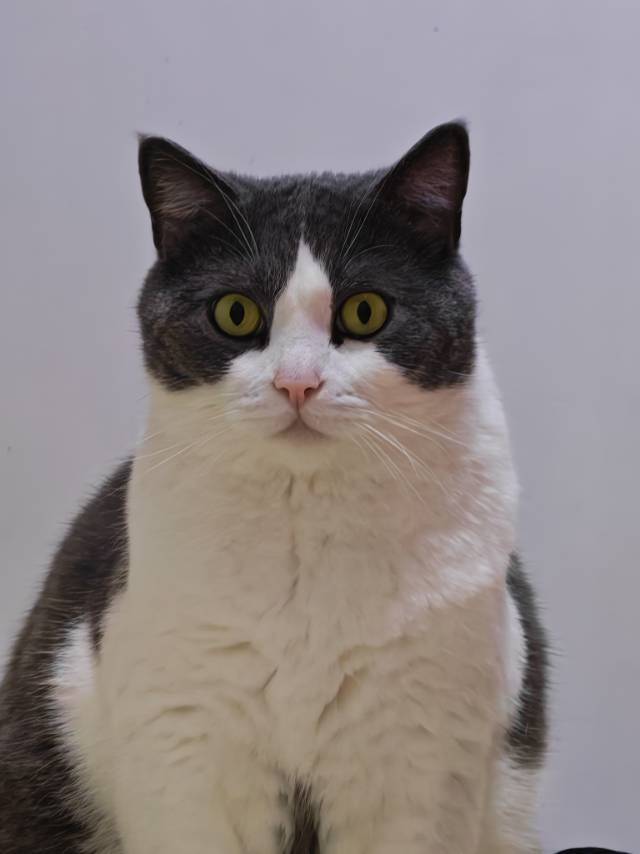 李