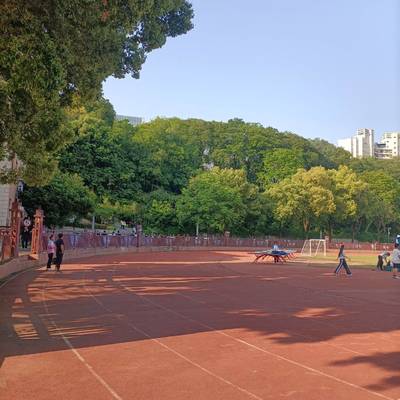 小红薯