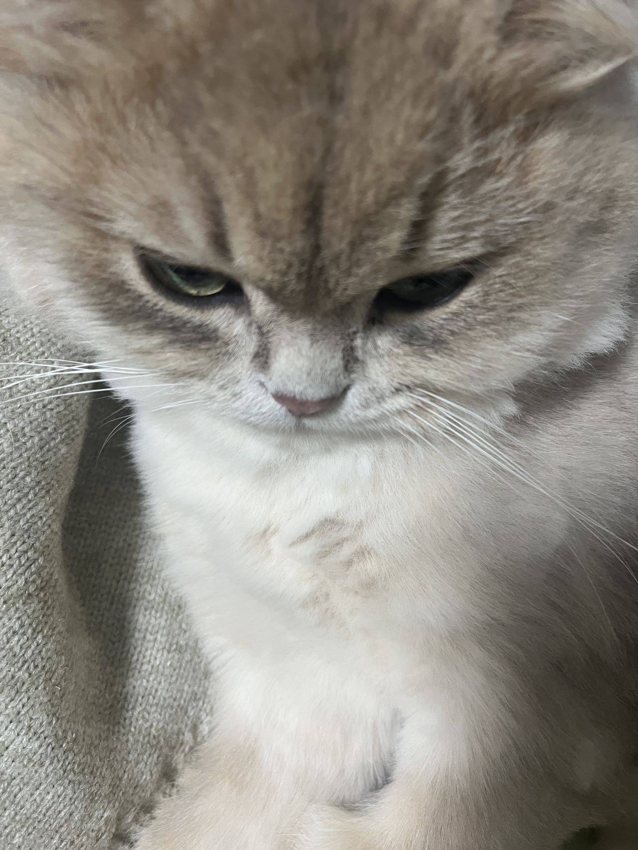 。