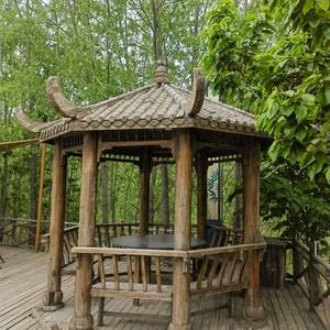 非诚勿扰