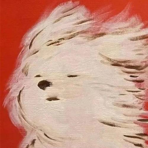 阿清