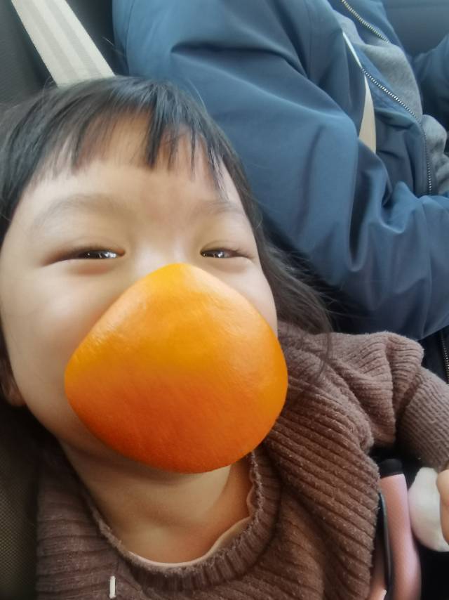 Z晶晶zzz