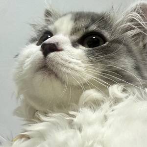 水水