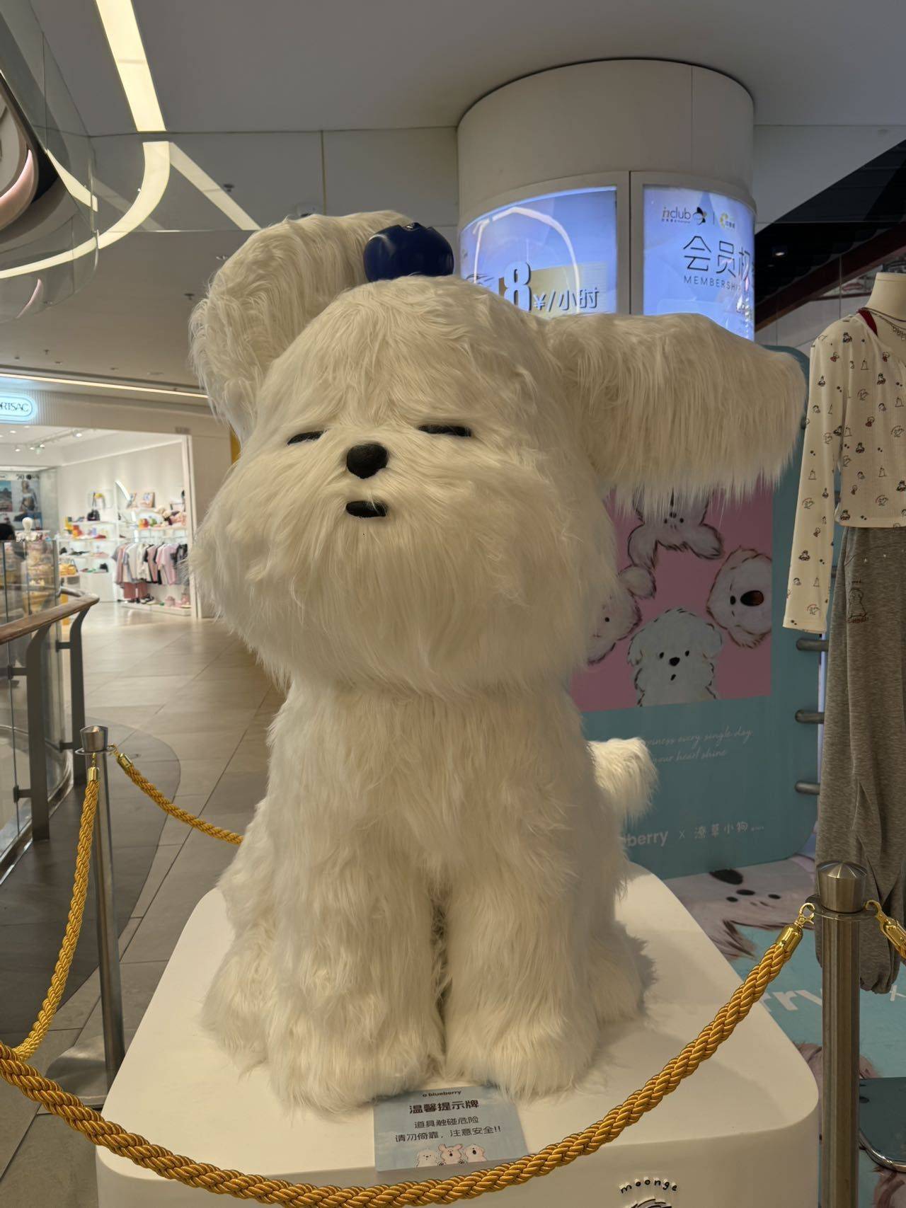 孙右右