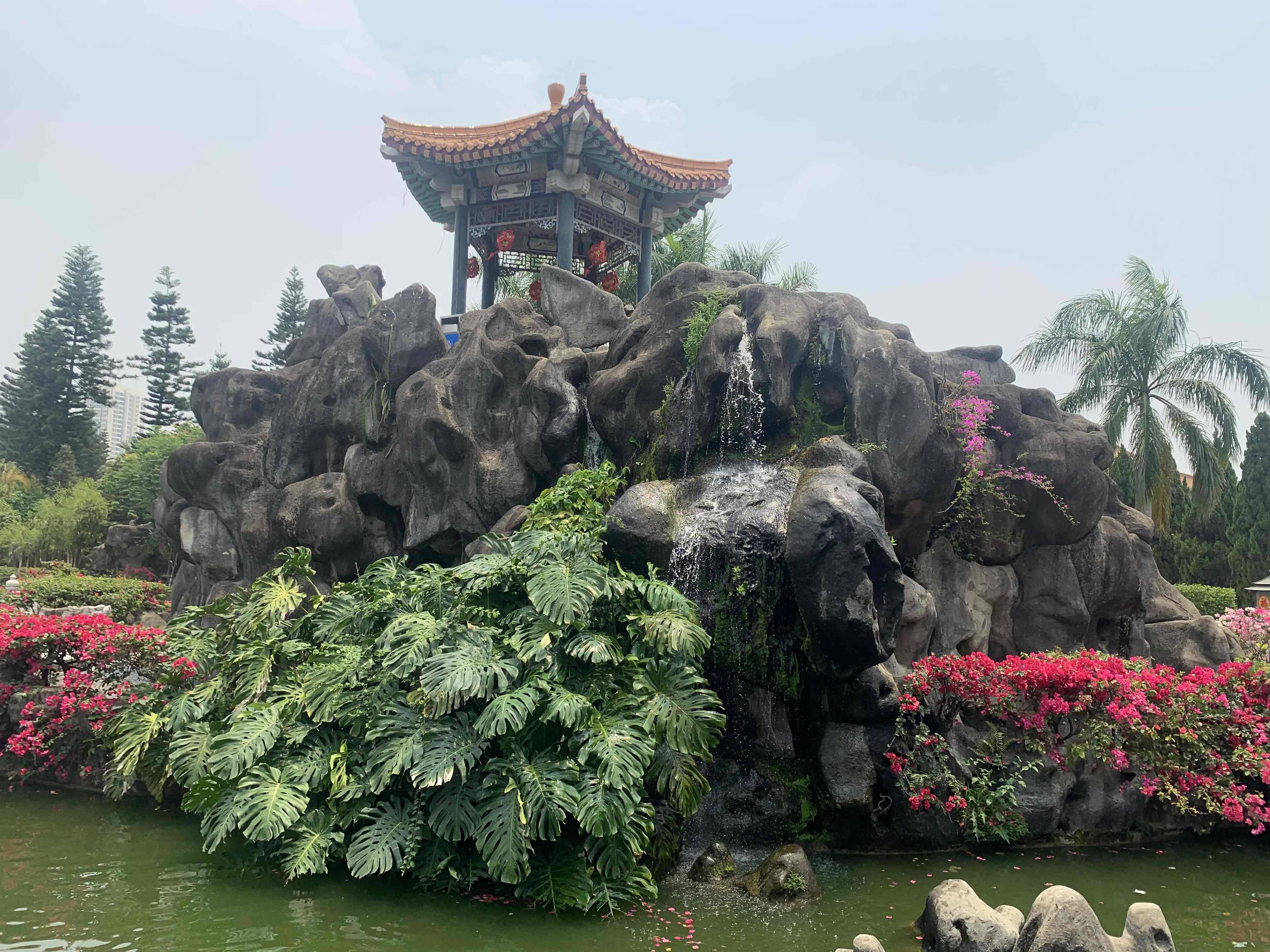 小洪同学