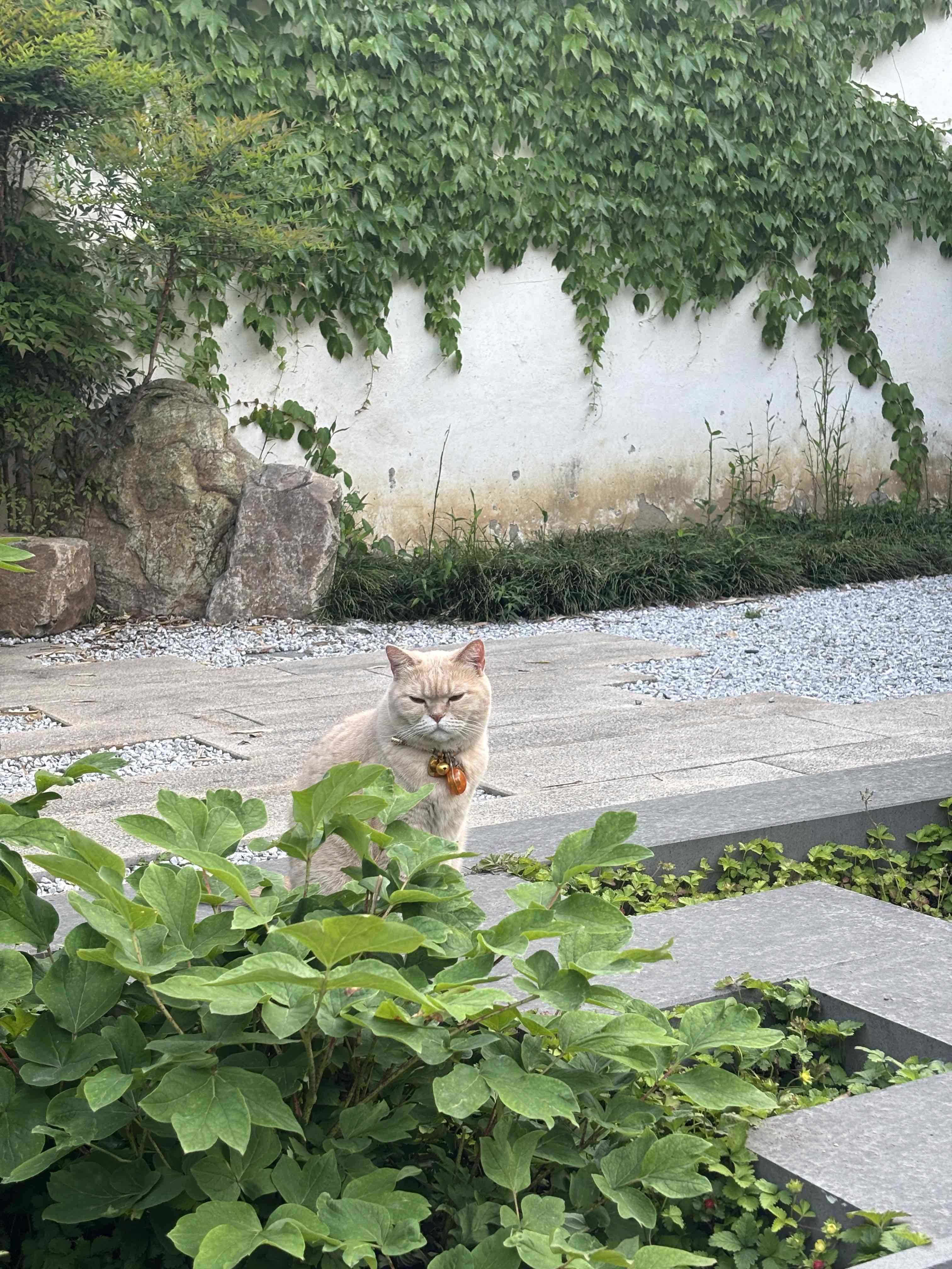 Tim