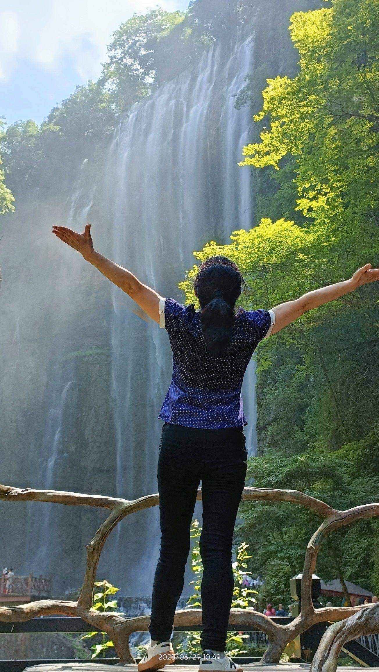 慧慧