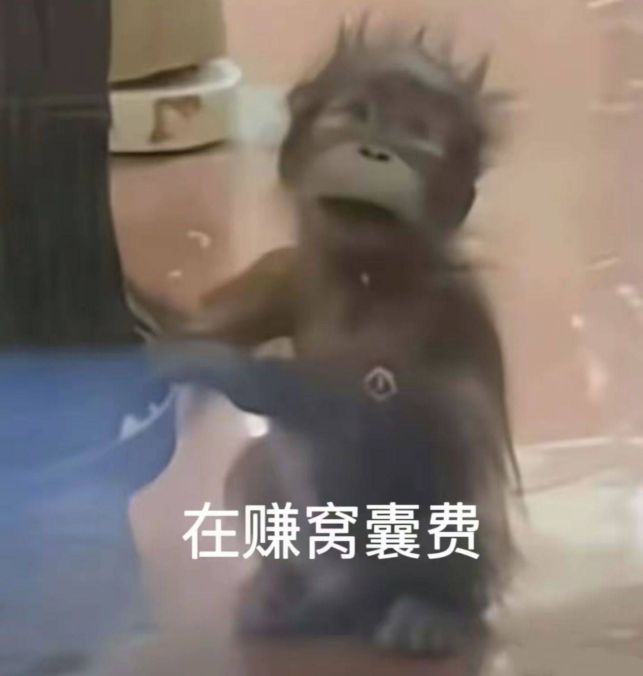 蛋蛋哥哥