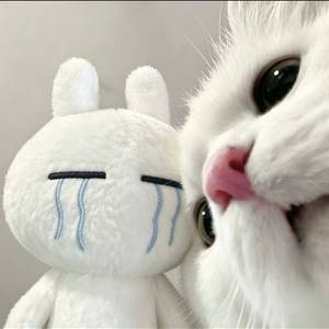 孟