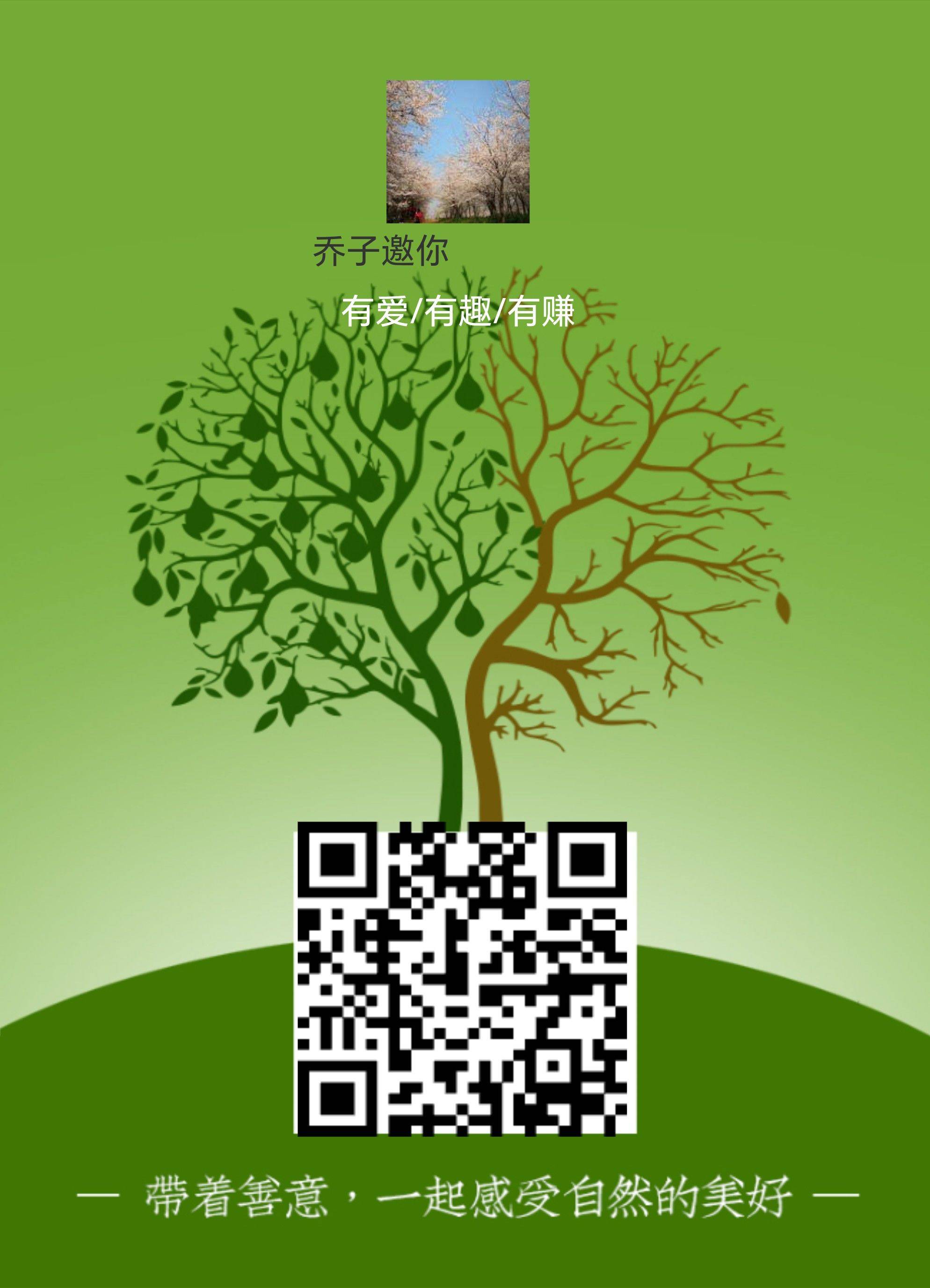 乔子