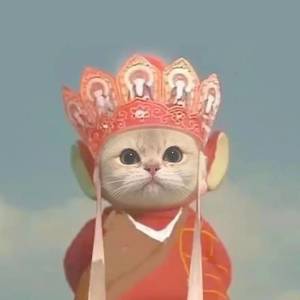 阿弥陀喵