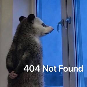 404