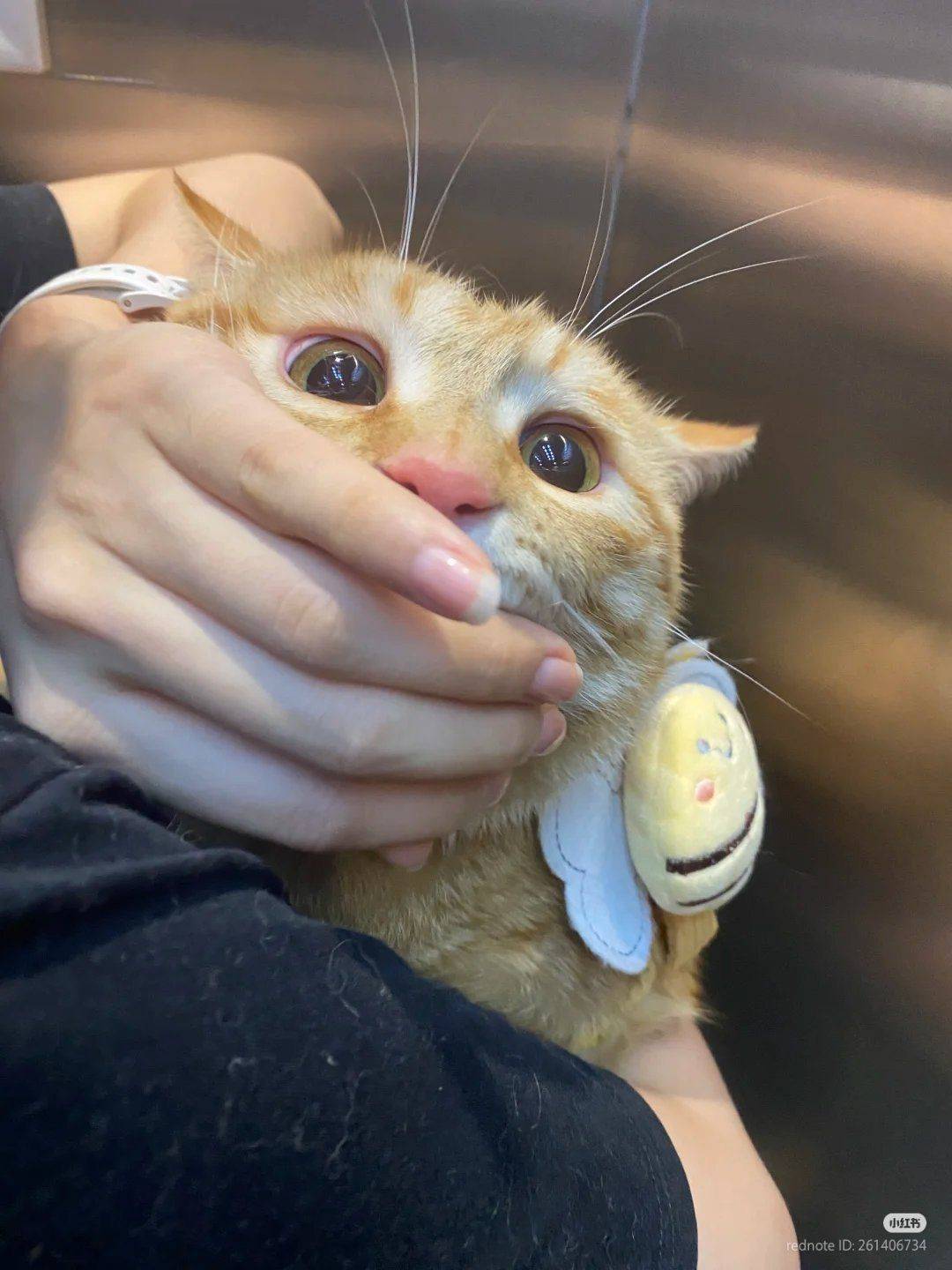 是的