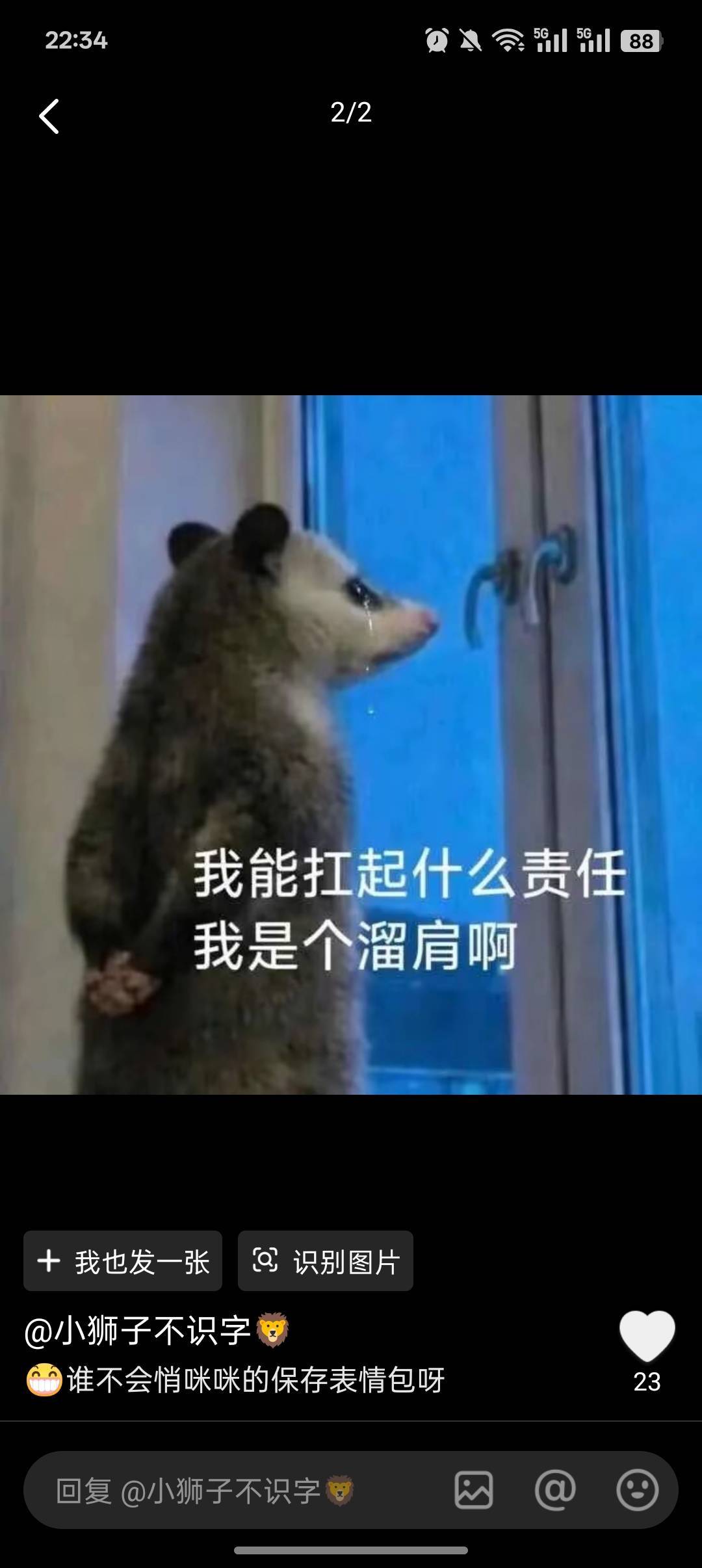 青笺