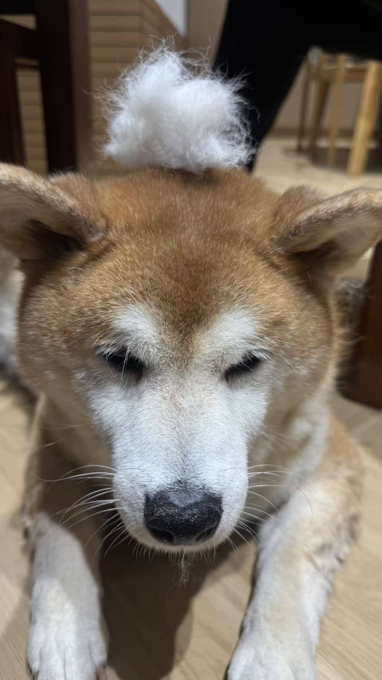 哈哈哈