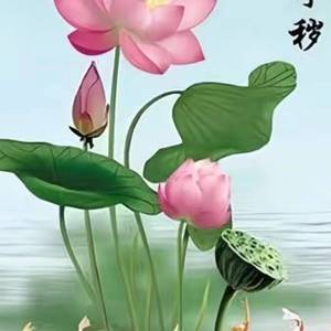 明天会更好