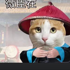 Ccwing