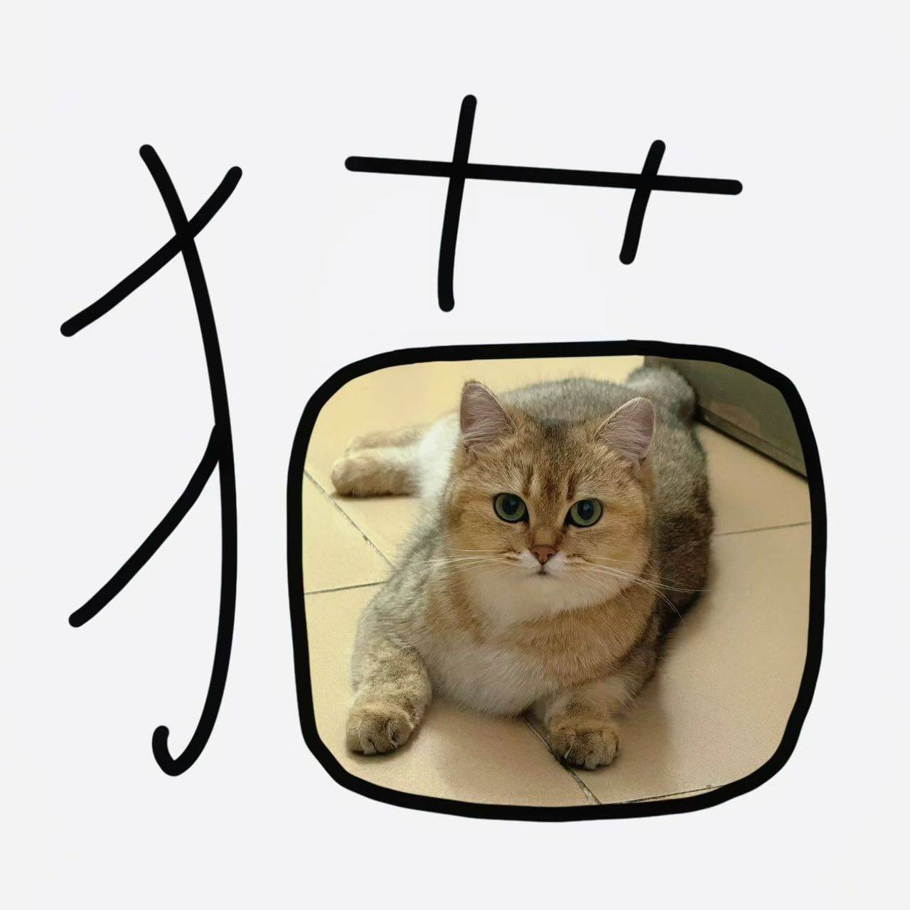 哇咔咔