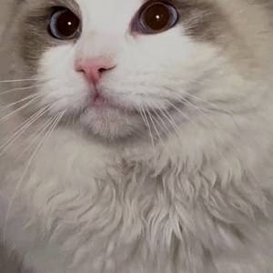 猜猜