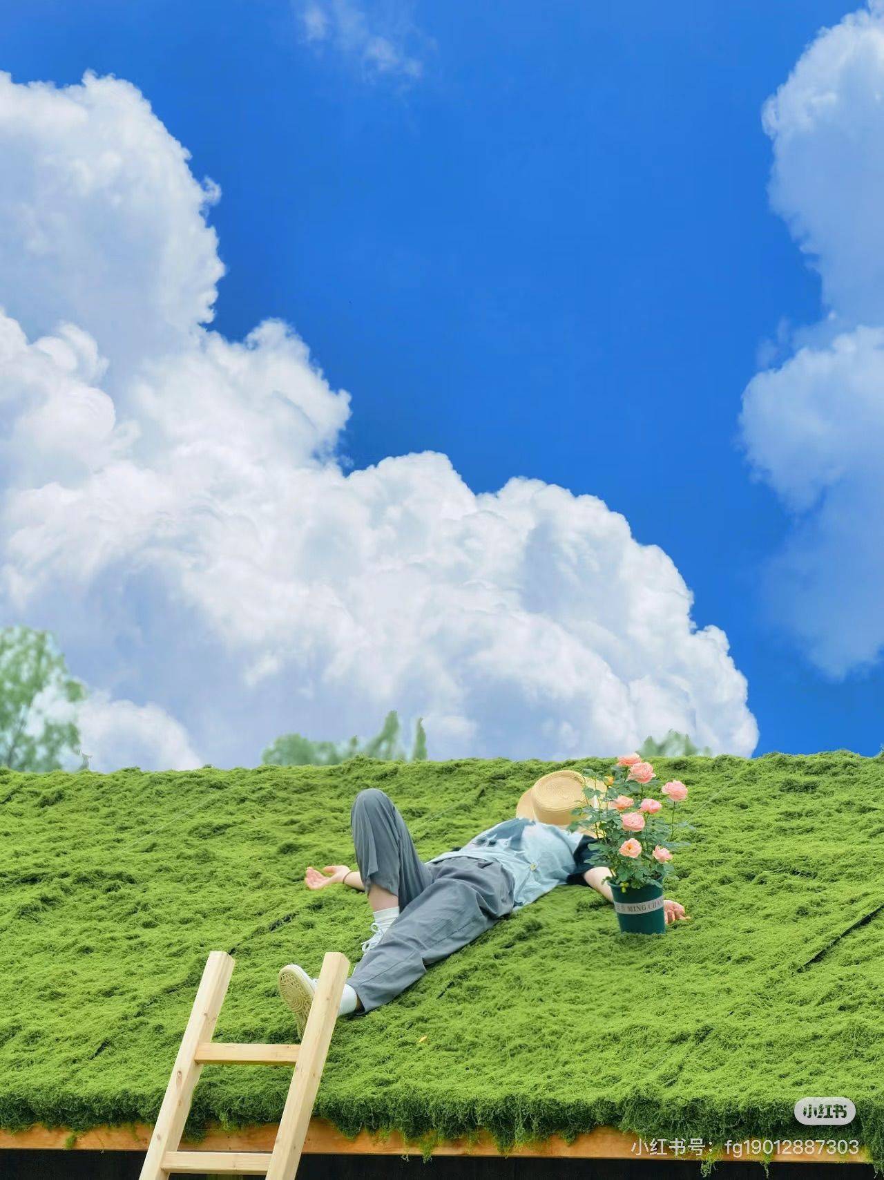 东苑森林花园卯寅未