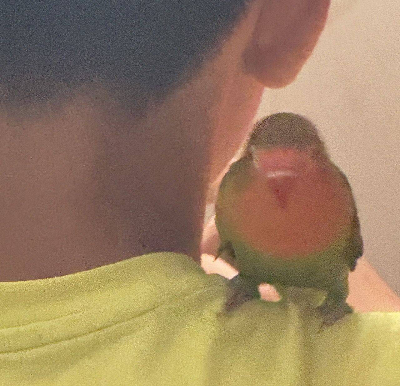 Etta