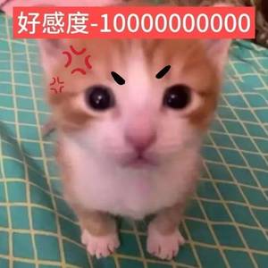 照烧饭