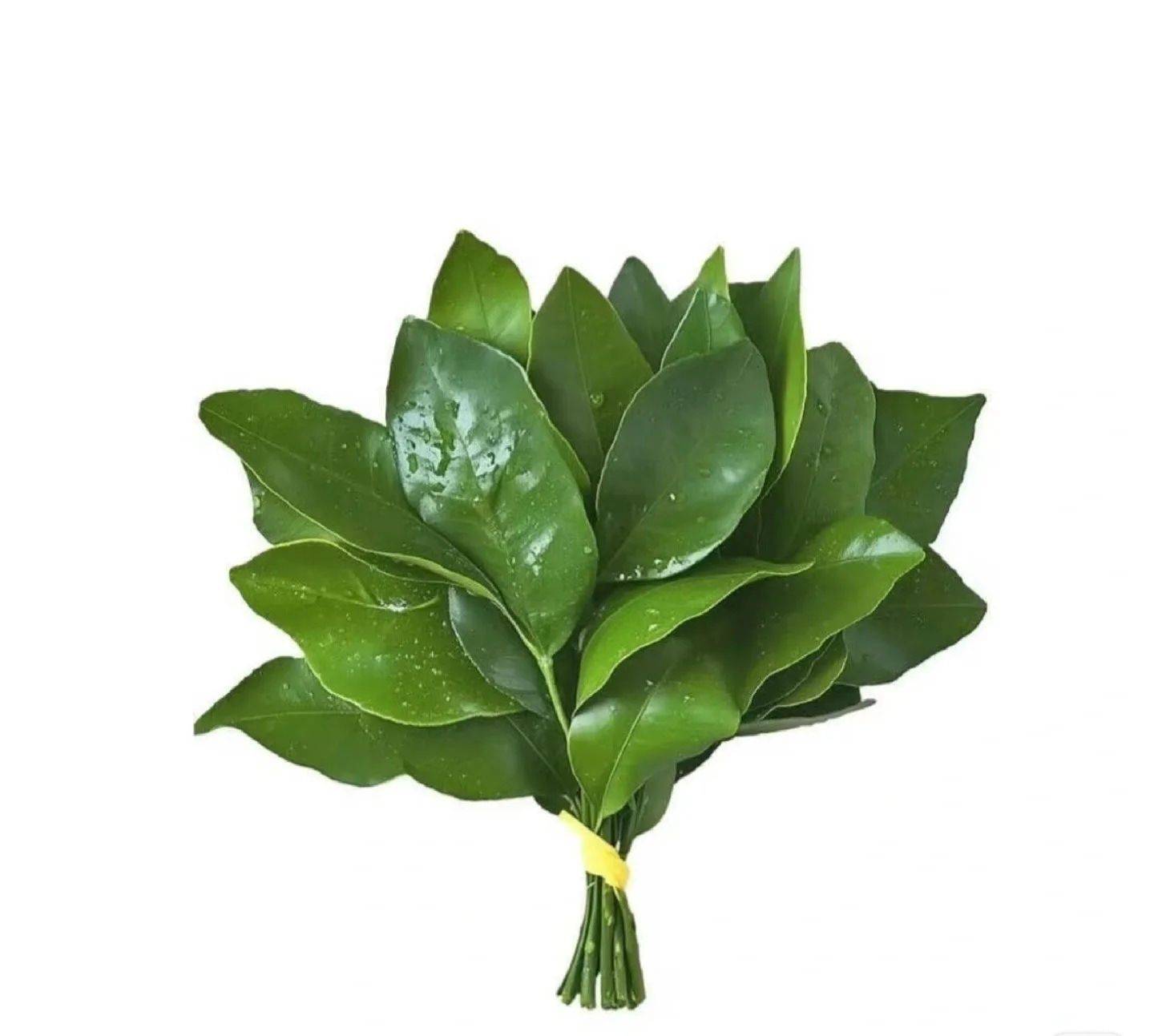 橙子