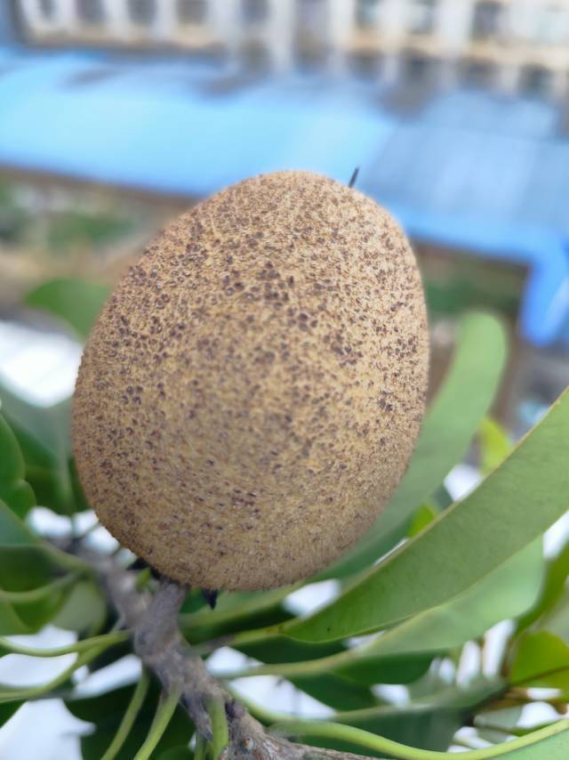 房东小哥