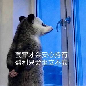 会飞的鲸鱼