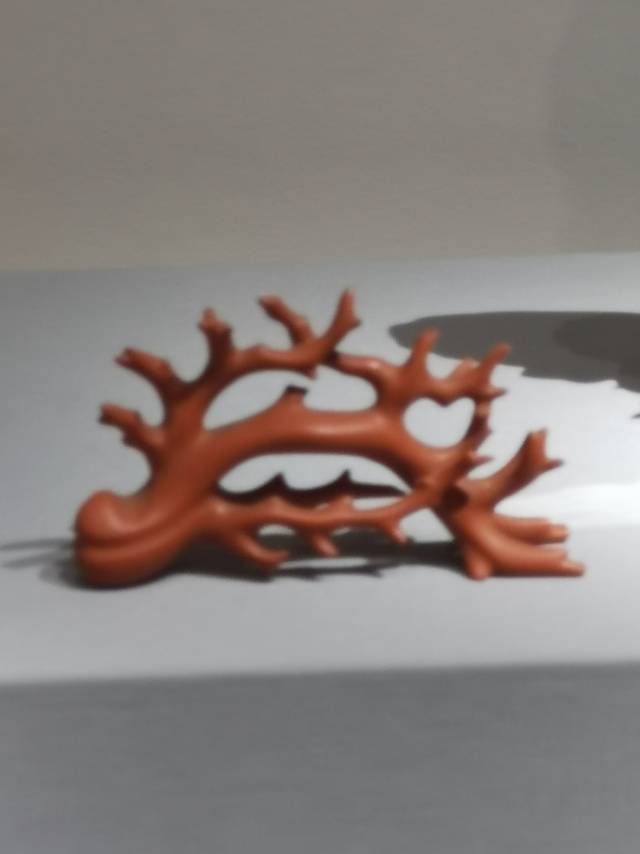 房东直租