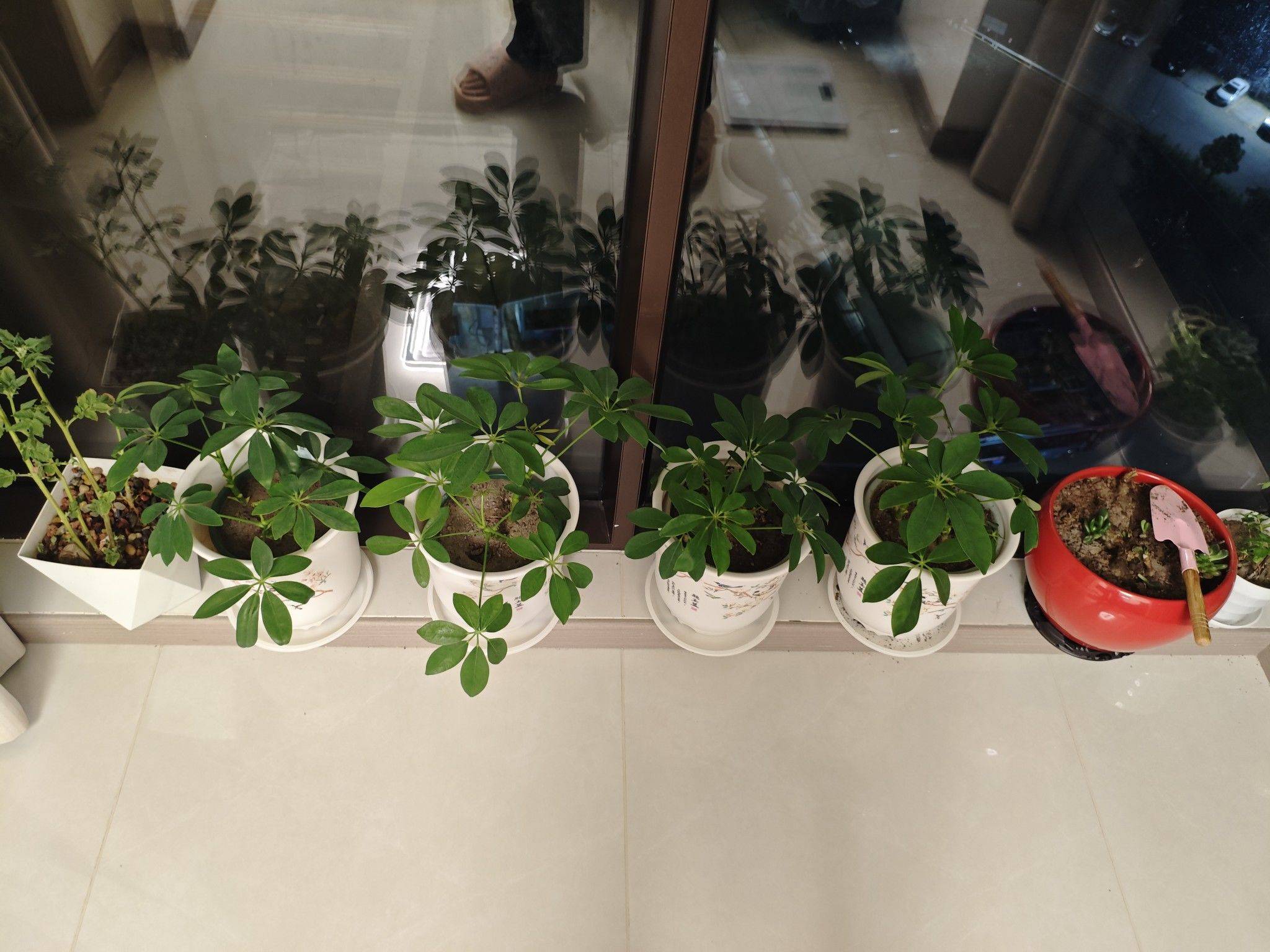 🍀ঞᩚ᭄幸运ꕥ້໌