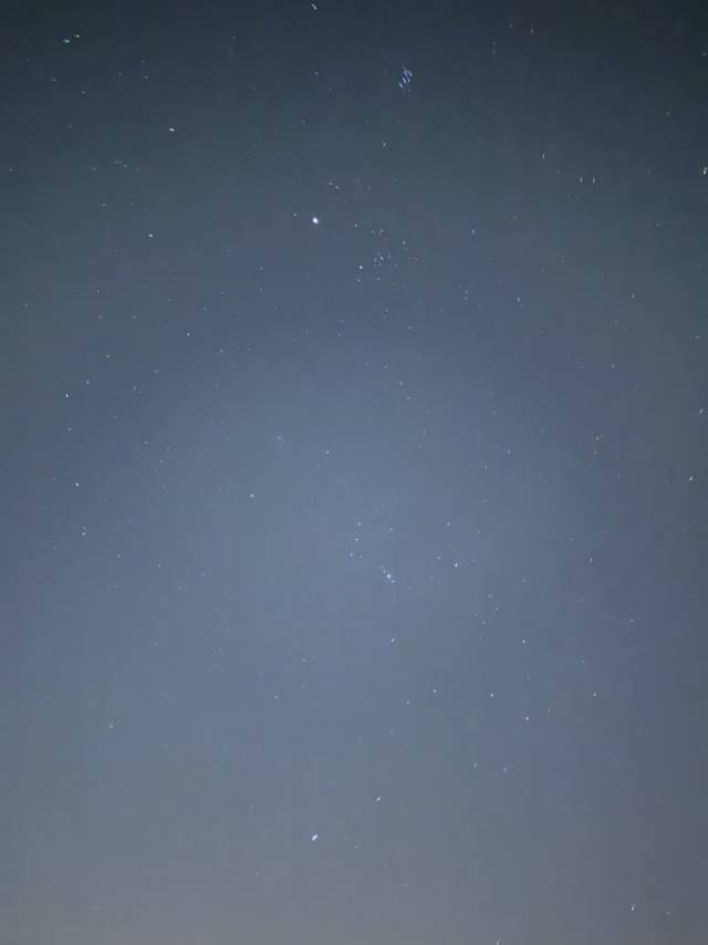 春日遐想