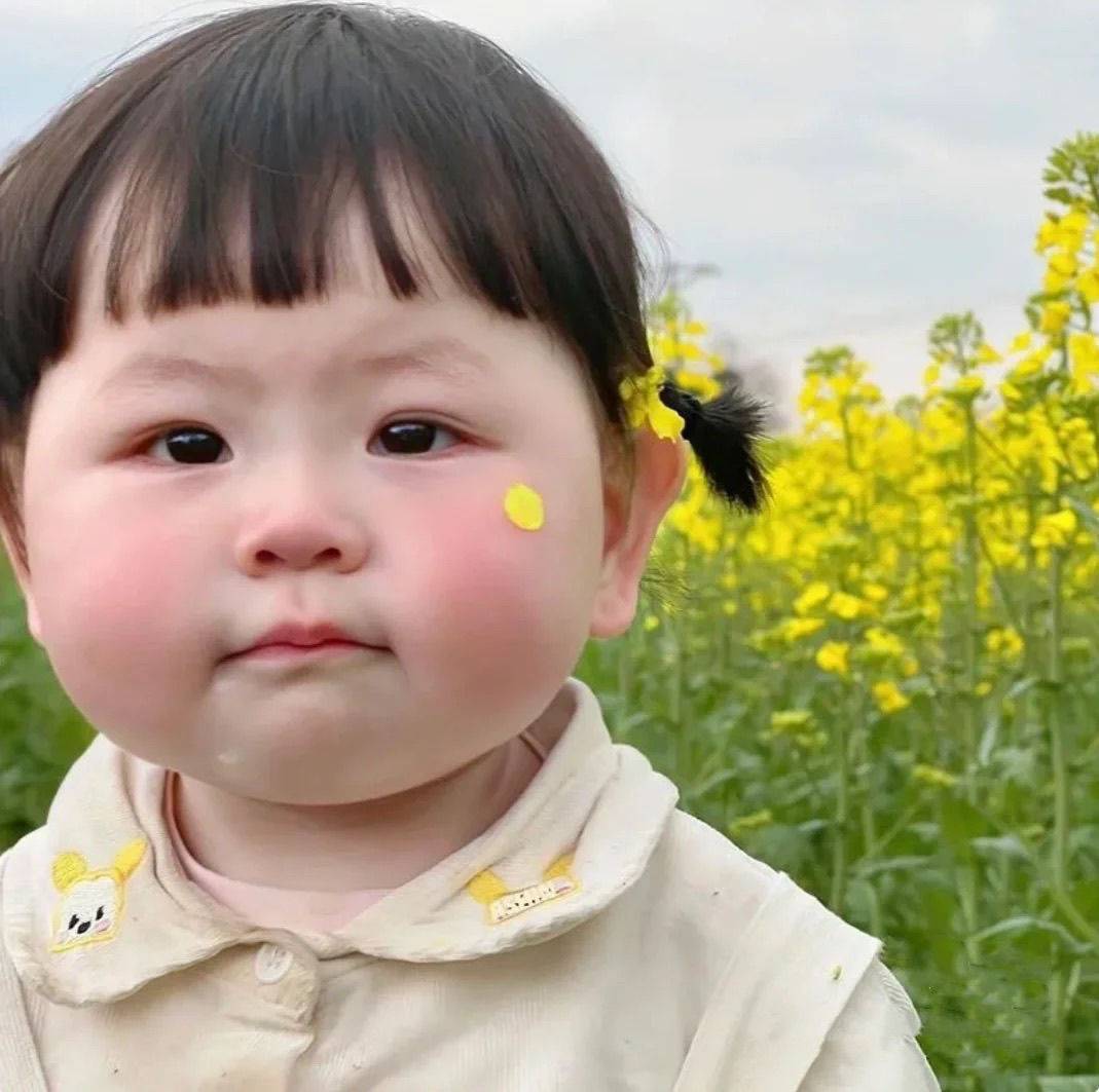 拾一份温柔