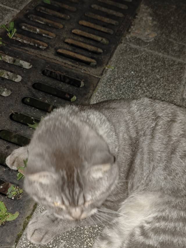 嗯哼