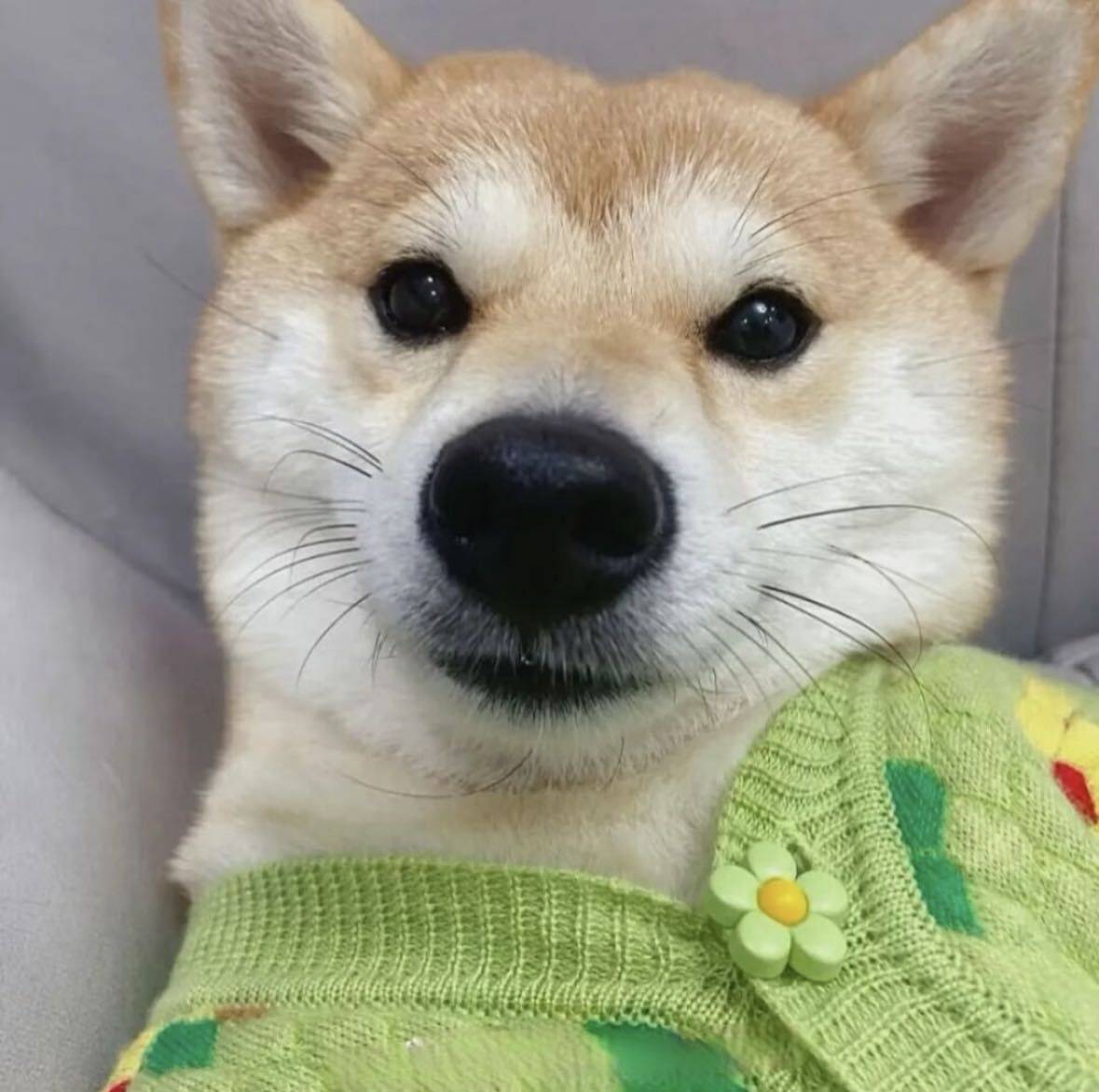 卡卡