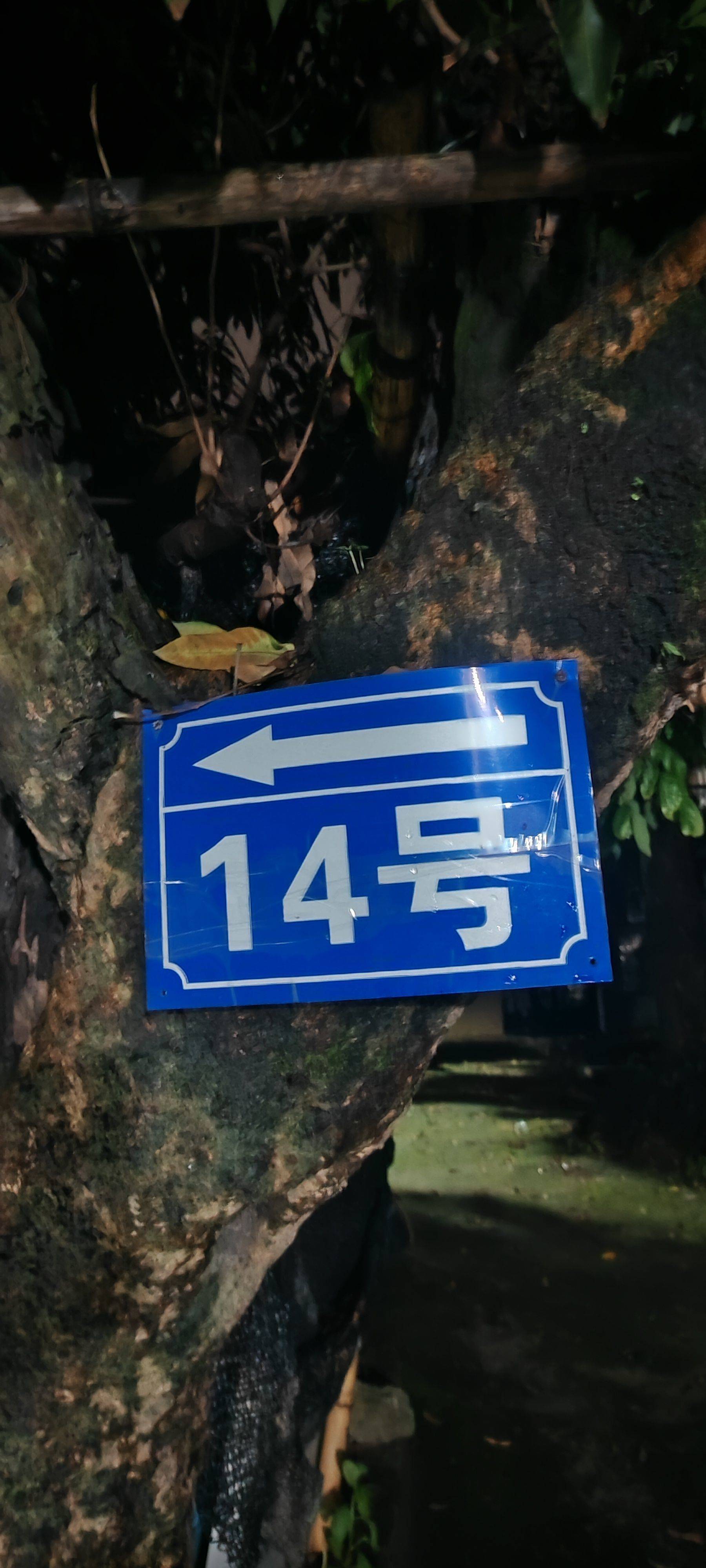 莫新墩街14号