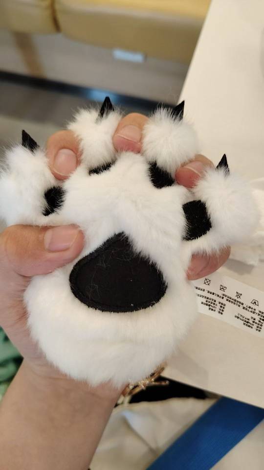 梦梦