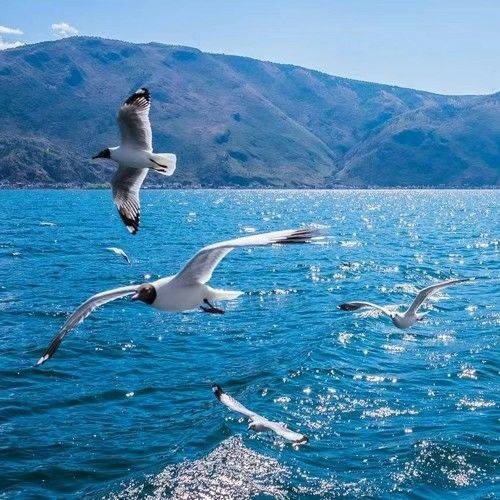 喜悦