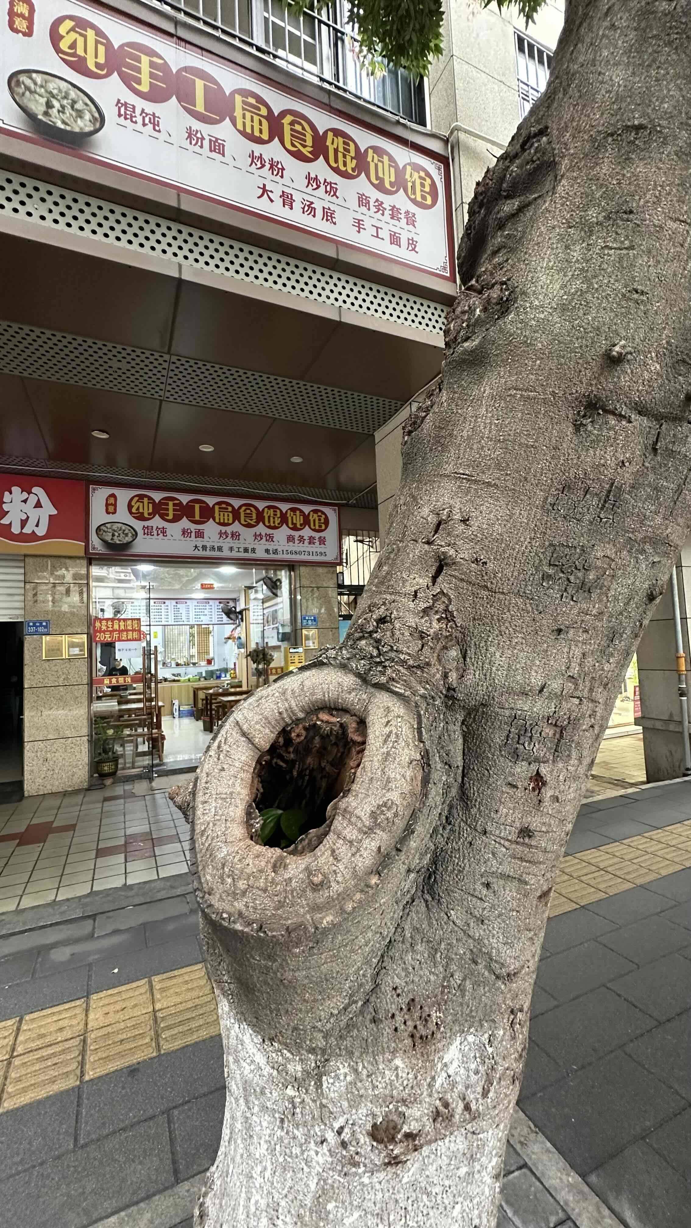 有线耳机