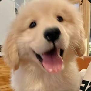小田