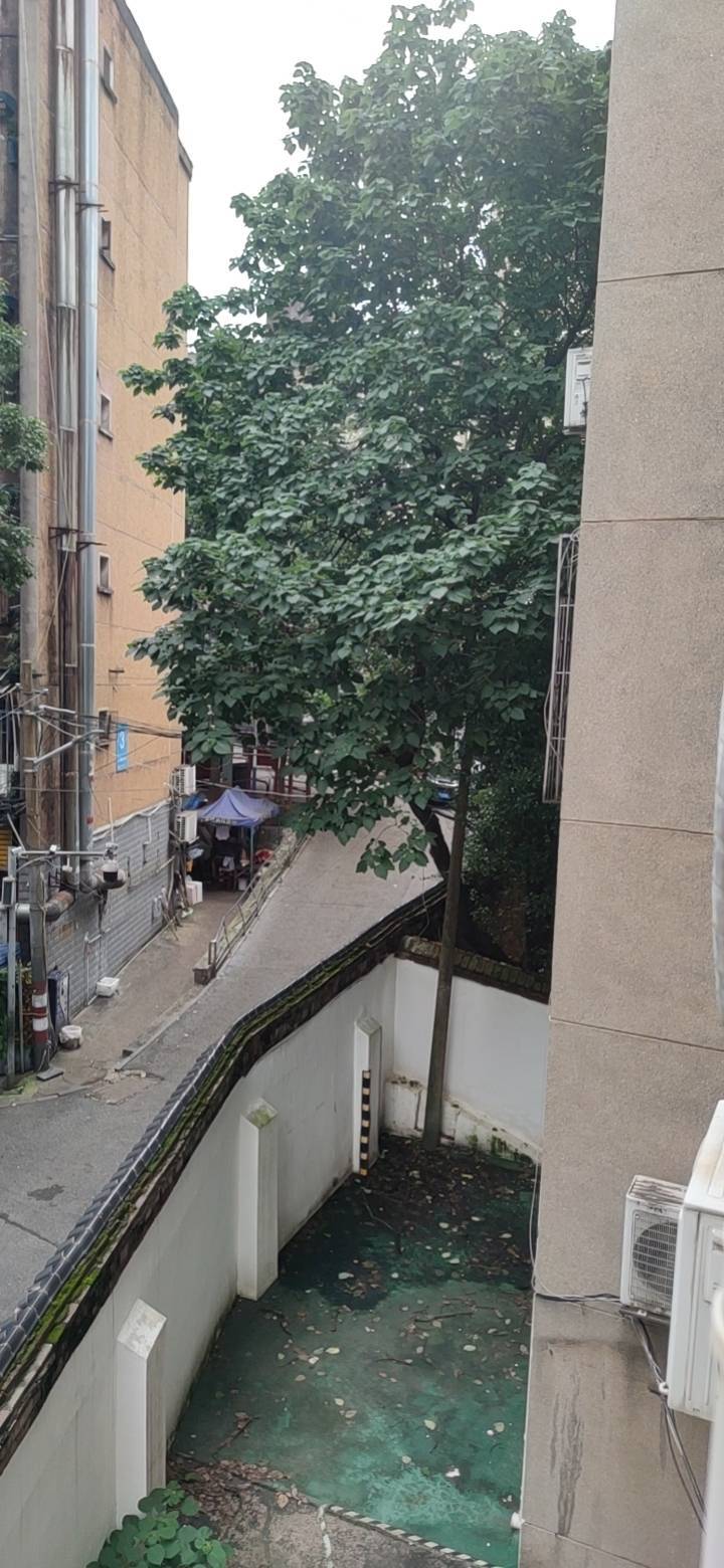 湖南星星